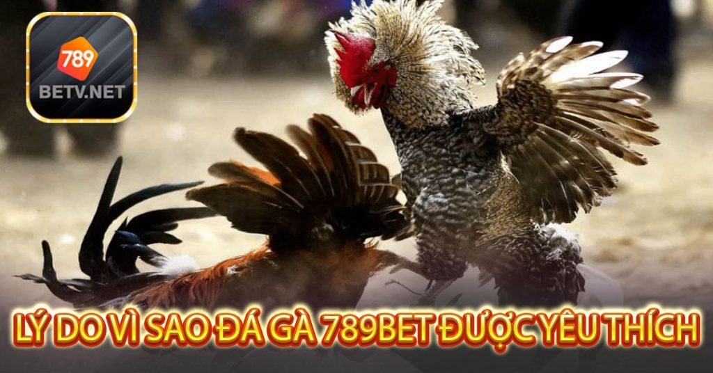 Lý do vì sao đá gà 789bet được yêu thích-