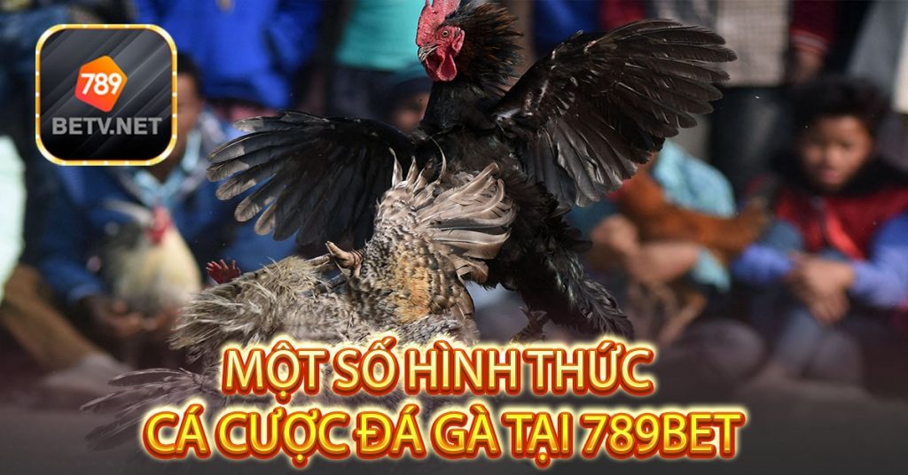 Một số hình thức cá cược đá gà tại 789bet