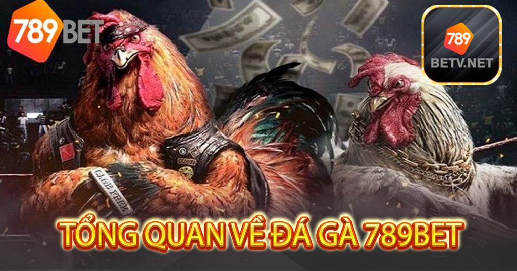 Tổng quan về đá gà 789bet