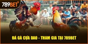 Đá Gà Cựa Dao